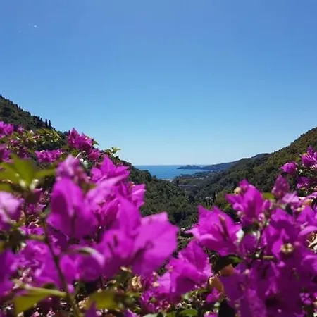 Dimora Sopra Il Porto Rapallo